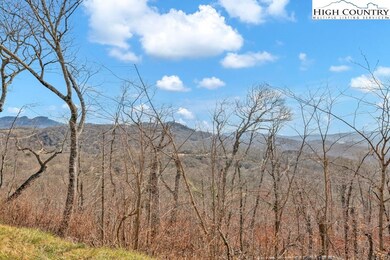 210 Cloud Spring Dr, Sugar Mountain, NC 28604 - photo 7