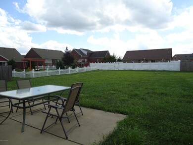 Back Yard from House