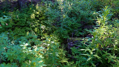 Stone River Lots-14