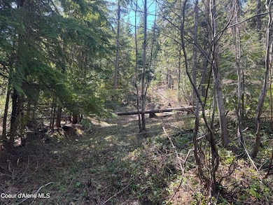 NNA Upper Manley Creek Rd West Lot, Laclede, ID 83841 - photo 5