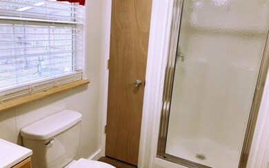 765 SW Santa fe Dr, Fort White, FL 32038 - photo 6