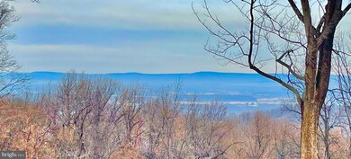 742 Joans Quadrangle Rd, Front Royal, VA 22630 - photo 2