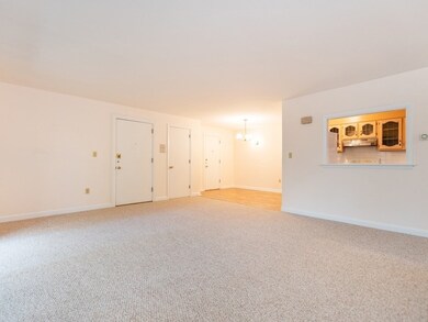49 Jacqueline Rd unit 7, Waltham, MA 02452 - photo 4