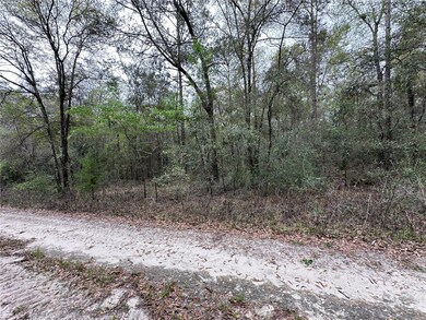 176 NE 155th Ct, Williston Highlands, FL 32696 - photo 5