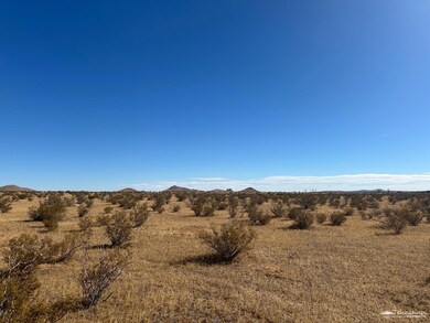 0 Sec 03 Twn 10 Rng 12 unit 9992654, Mojave, CA 93501 - photo 2