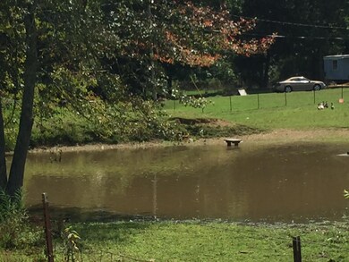 Here is a  better view of the pond waiting for you to bring your ducks.