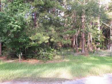 28034 Crossway Oaks, Magnolia, TX 77355 - photo 3