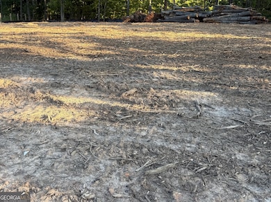 3980 Highway 5, Douglasville, GA 30135 - photo 3