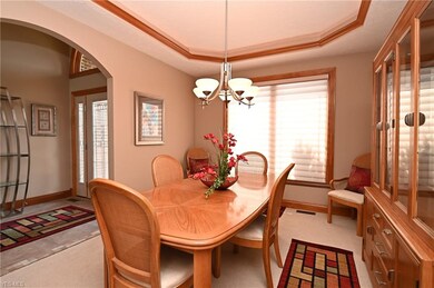 41147 Mills Cir, Lagrange, OH 44050 - photo 7