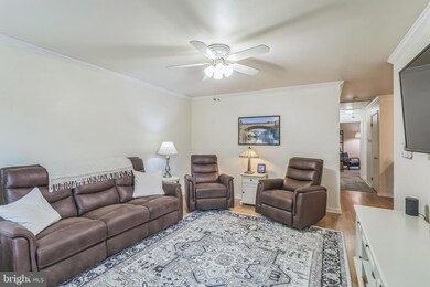 109 Walnut Rd, Wallingford, PA 19086 - photo 3