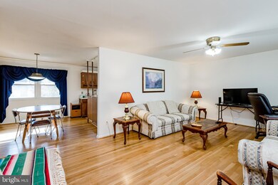 3103 Ellicott Rd, Beltsville, MD 20705 - photo 5