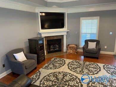 Spacious living room with wood floors, trey ceilings, gas fireplace