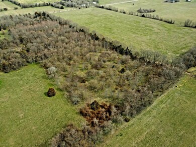 dji_fly_20230315_114442_17_1678898754519