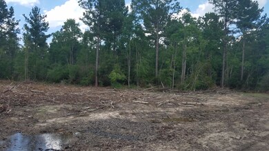 0 Tbd Little Happy Lane Lot 70 unit 2-5048, Deridder, LA 70634 - photo 6