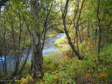 Beautiful Creek