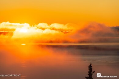 16905 Olena Pointe Cir, Anchorage, AK 99516 - photo 2