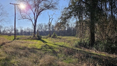 11532 County Road 219, Tyler, TX 75707 - photo 5