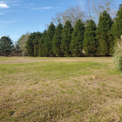 273 Horseshoe Cir, Thomasville, GA 31757 - photo 5