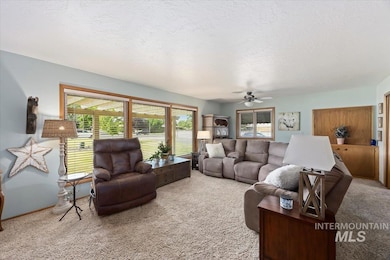 Living area featuring carpet flooring, a textured ceiling, and a ceiling fan