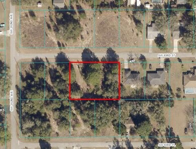 TBD SW 83rd St, Dunnellon, FL 34431 - photo 5