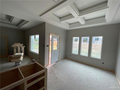 817 Hawk St, Alamo, TX 78516 - photo 6