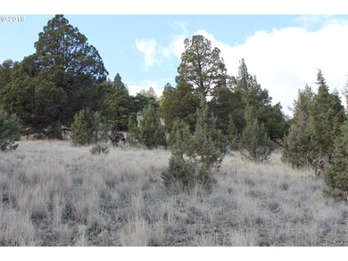 0 S Adam Dr unit 18349443, Canyon City, OR 97820 - photo 4