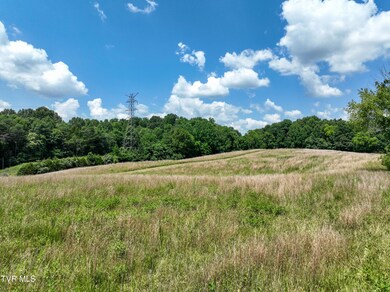 TBD Devault Bridge Rd Drone BURTON-4