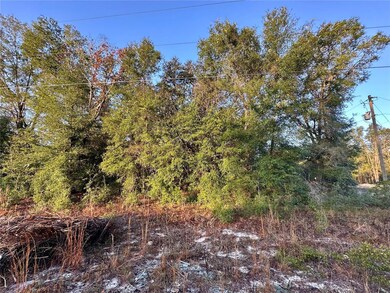 0 NW 16th Place unit MFROM714894, Ocala, FL 34482 - photo 6