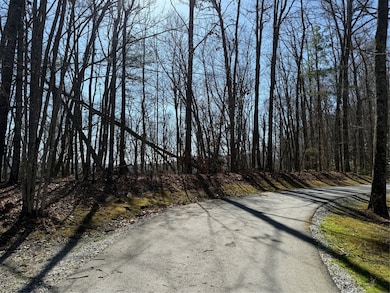 lot 22 Bright Mountain Rd, Cullowhee, NC 28723 - photo 2