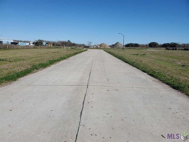 0 Highway 308 unit 2 157235, Larose, LA 70373 - photo 3