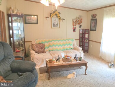 1306 E Rocky Branch Rd, Luray, VA 22835 - photo 6