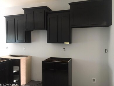 Kitchen and Bathroom Cabinet Color - Stained Ebony