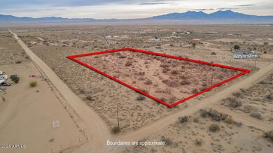 31004009 Kingman-1