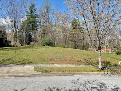 L18 & L19 Cadence Cir, Brevard, NC 28712 - photo 6