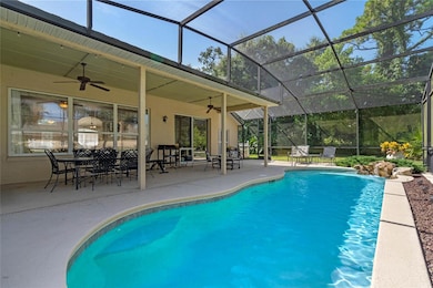Lap Pool