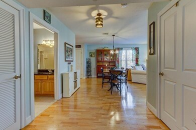 15 Summer St unit 205, Franklin, MA 02038 - photo 2