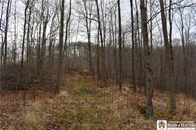0 Morgan Hollow Rd, Olean, NY 14760 - photo 7
