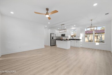 1116 Hiawassee Ave, Knoxville, TN 37917 - photo 6