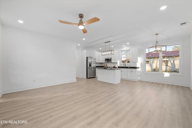 1117 Hiawassee Ave, Knoxville, TN 37917 - photo 6