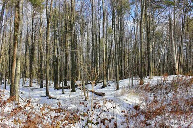 00 Tyson Rd, Reading, VT 05062 - photo 2