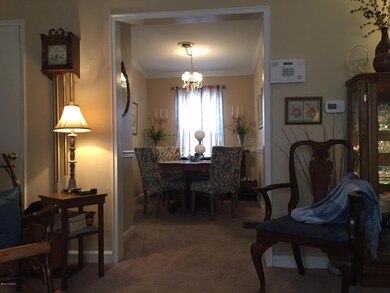 1113 Baxter Ave unit 1A, Louisville, KY 40204 - photo 5