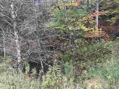00 Mud Hollow Rd, Kirby, VT 05851 - photo 4