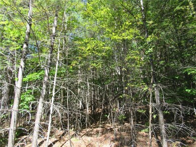 0 M16 L20 unit 1371774, Bowerbank, ME 04426 - photo 2