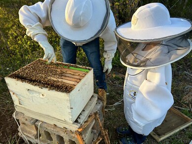 2389 New Chapel Rd, Rustburg, VA 24588 - photo 6