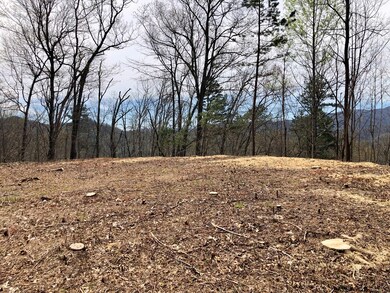 Left Side View From Build Site