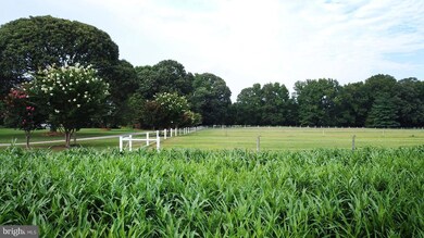 301 Sportsman Neck Cir, Queenstown, MD 21658 - photo 2