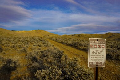 20211121-DSC01288