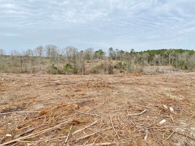000 Maggie Johnson Rd, Tylertown, MS 39667 - photo 5