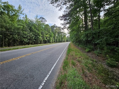 View of asphalt road with a forest view