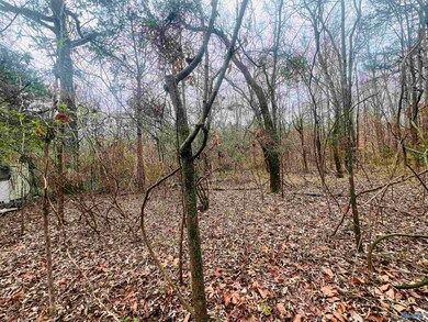 1 ACRE Whitman Cir, Huntsville, AL 35811 - photo 3